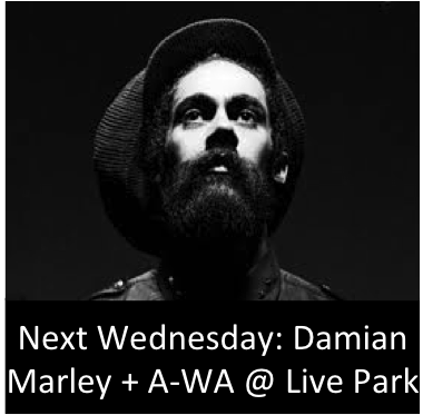 Damian Marley top