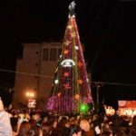 Christmas Tree Lighting in Jaffa