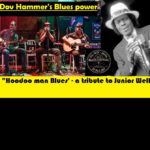 Dov Hammer's Blues power -a tribute to Jr Wells - TLV Blues fest
