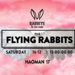 Rabbits In the sand - The Flying Rabbits - 16/12