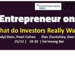 What do Investors Really Want - Workshop