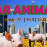 Bar Animals Camp\ Pigs After Purim Party\ 10.3\ oink Oink