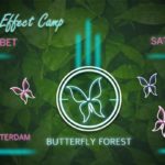 Butterfly Effect - Alphabet Butterfly Forest 17/3