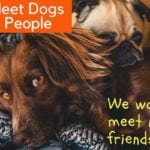 Dogs Meet Dogs Meet People