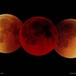 Full moon eclipse - Observations to the general public in various locations around the country