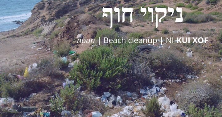 Ulpan Bayit hosting - Beach Cleanup