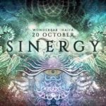 Sinergy - Psychedelic Night 2nd Edition