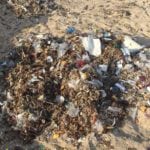 Haifa Coastal Clean Up and Guided Snorkel!