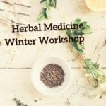 Herbal Medicine Workshop Tel Aviv