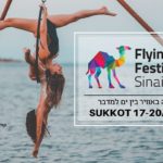 Flying Desert Festival Sinai