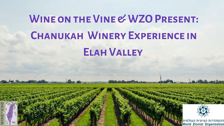 Hanukkah Winery Experience in the Elah Valley