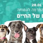The Dogs of Life Foundation Fundraising Event