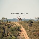 Cheetah Cheetah (NL) EP release