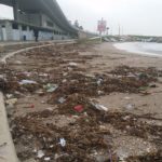 HAIFA - Beach Cleanup
