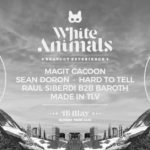 White Animals - SHAVUOT EXPERIENCE Sunday Night
