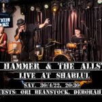 Dov Hammer and the AllStars at Shablul