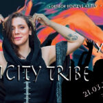 DanCity Tribe #11 @ Collabo