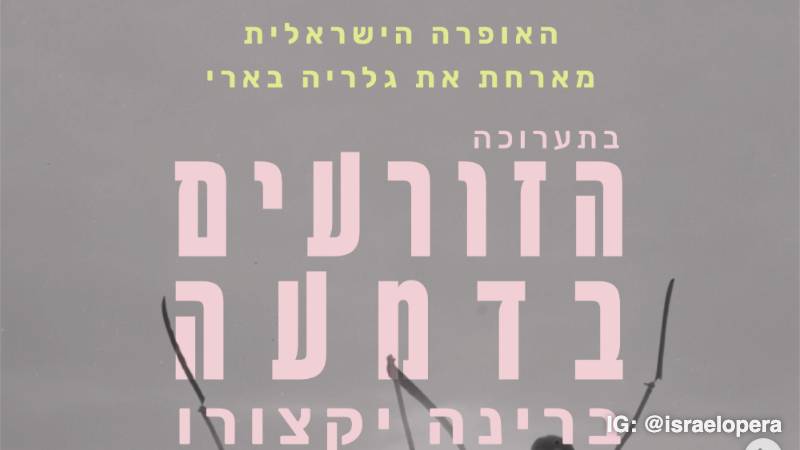תערוכת גלריה בארי